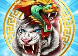 Dragon Tiger